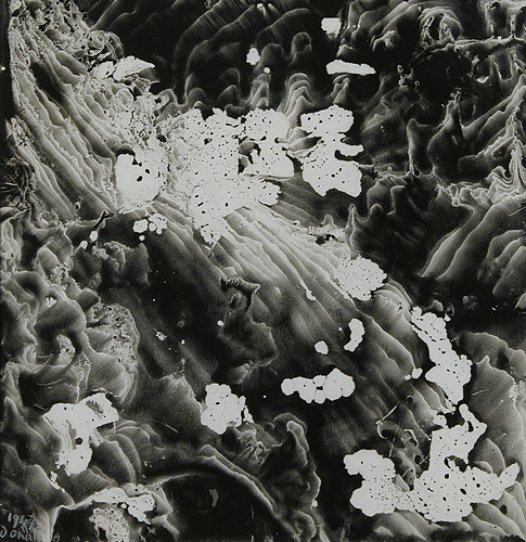 Decalcomania, 1947 - Енріко Донаті