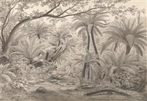 Ferntree or Dobson's Gully, Dandenong Ranges - Eugene von Guerard