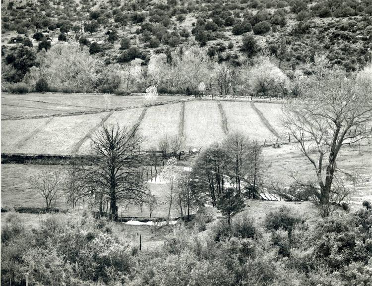 Arizona Landscape, 1943 - Фредерик Соммер