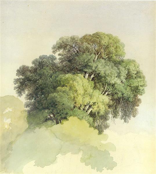 The Crowns of the Trees, 1867 - Фёдор Васильев