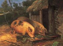 Pigs at a Trough - George Morland