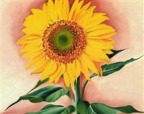 A Sunflower from Maggie - Georgia O'Keeffe