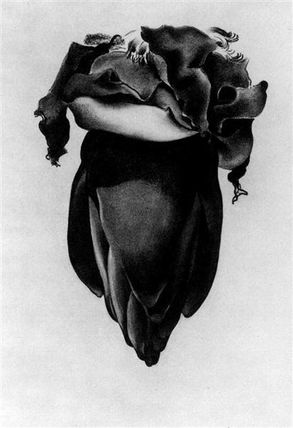 Banana Flower, 1934 - Джорджия О’Киф