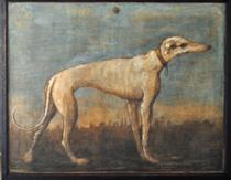 Greyhound - Giovanni Domenico Tiepolo