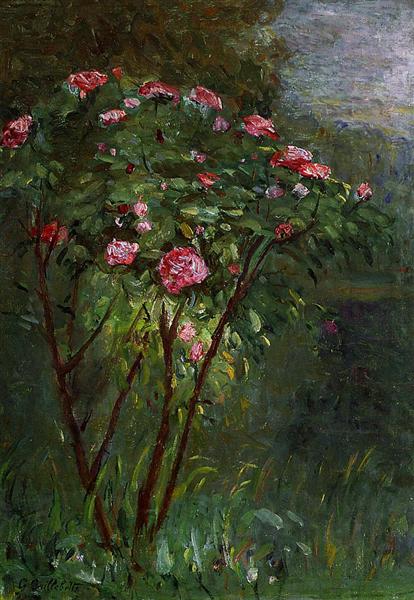 Rose Bush in Flower, 1884 - Gustave Caillebotte