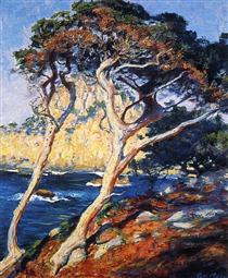 Point Lobos Trees - Guy Rose