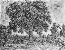 The Great Tree - Hercules Pieterszoon Seghers