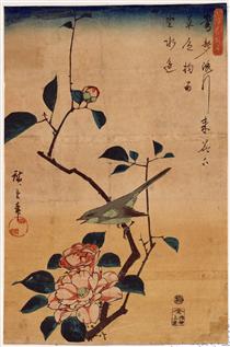 Camellia and Bush Warbler - Utagawa Hiroshige