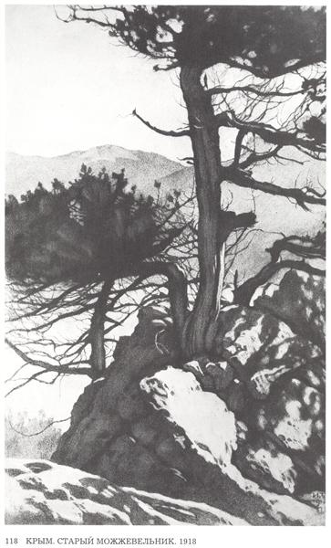 Crimea. Old juniper, 1918 - Іван Білібін