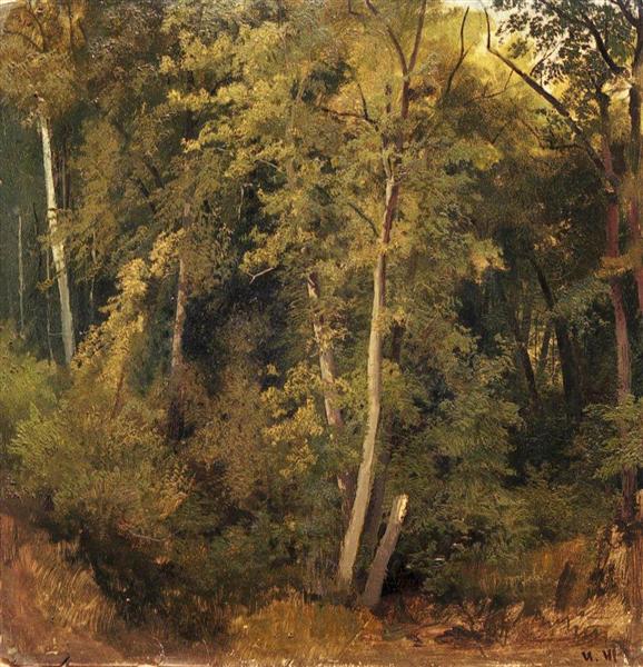 Forest Landscape - Іван Шишкін