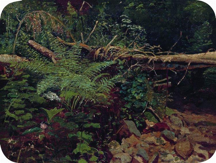 Landscape, 1896 - Iwan Iwanowitsch Schischkin