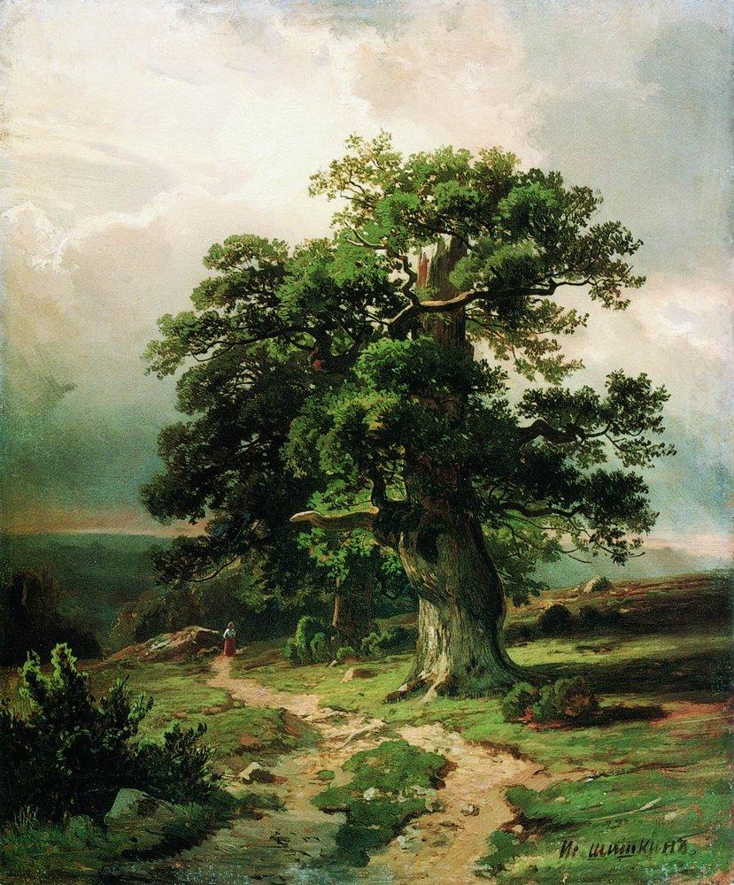 Oak, 1865 - Ivan Shishkin - WikiArt.org