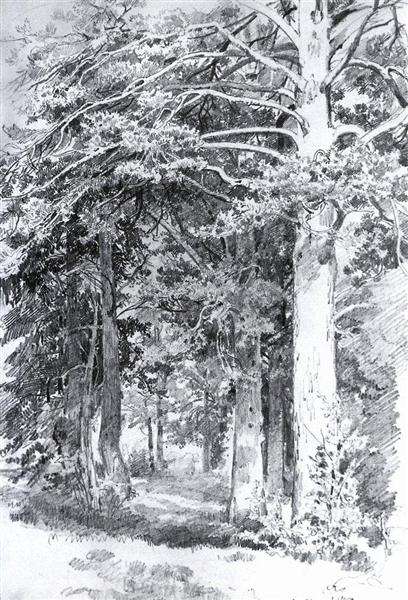 Pine forest, 1889 - Iván Shishkin