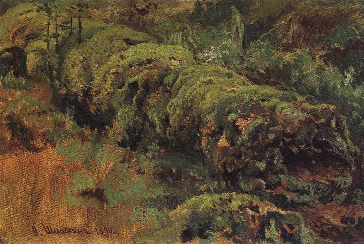 Гнилое дерево, покрытое мхом, 1890 - Иван Шишкин