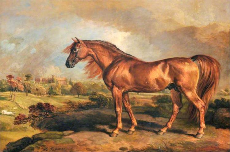 A Chestnut Stallion in the Grounds of Powis Castle, 1818 - James Ward