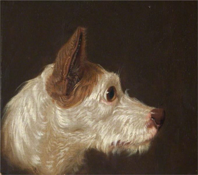 Dog's Head - James Ward