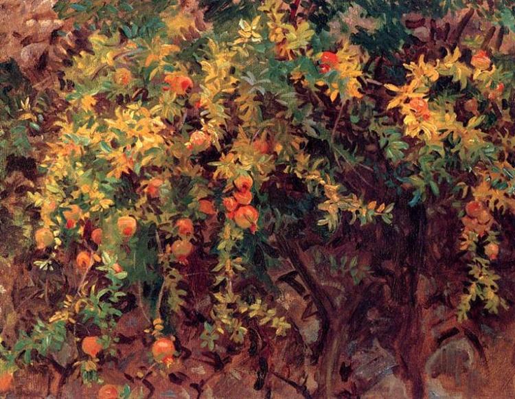 Pomegranates, 1908 - Джон Сінгер Сарджент
