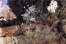 Flower Sketch for The Enchanted Garden - John William Waterhouse