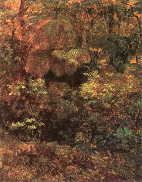 Bosque de Pacho, 1875 - José María Velasco Gómez
