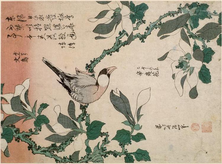 Sparrow and magnolia - 葛飾北齋