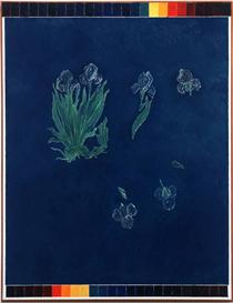 In Space, Blue Irises - Kazuo Nakamura