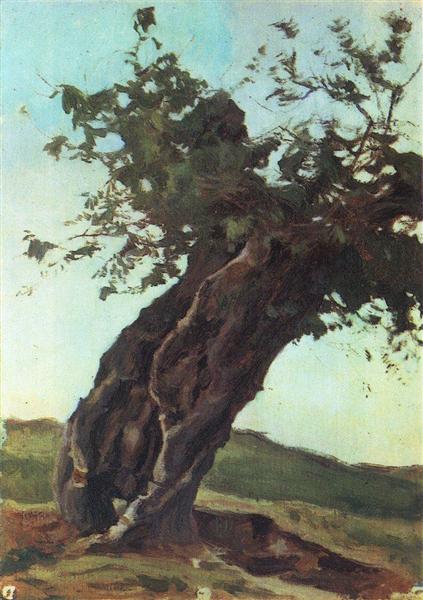 Old trunk, c.1895 - Костянтин Богаєвський