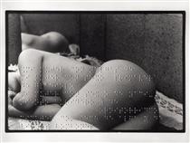 Union Libre (poem by André Breton embossed in Braille on a photograph) - Леон Феррари