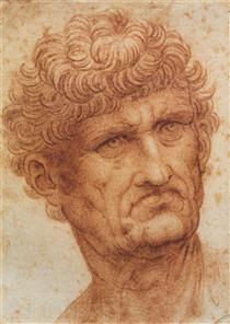 Head of a Man - Леонардо да Винчи