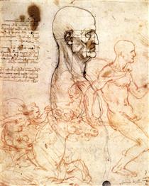 Profile of a man and study of two riders - Léonard de Vinci