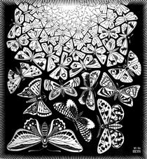 Butterflies - M.C. Escher