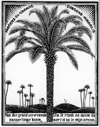 Пальма, 1931 - Мауріц Корнеліс Ешер