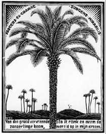 Palm Tree - M.C. Escher