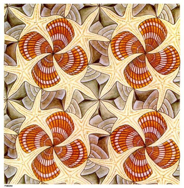 Shells and Starfish, 1941 - M. C. Escher
