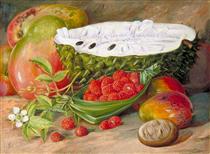 Fruit Grown in the Seychelles - Marianne North