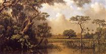 The Great Florida Marsh - Мартин Джонсон Хед