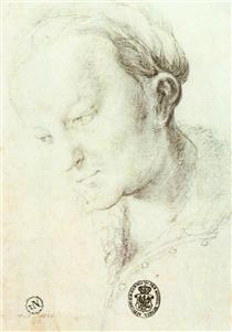 Head of a Young Woman - Matthias Grünewald