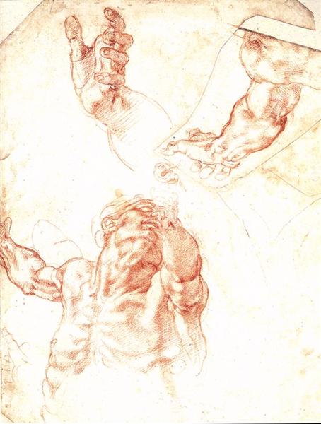 The Study of Adam, c.1508 - Michelangelo
