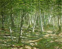 Old Windfall - Neil Welliver