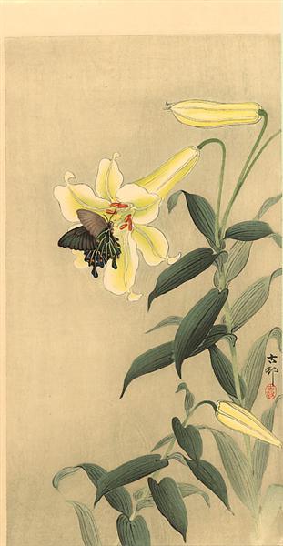 Butterfly and lily - 小原古邨