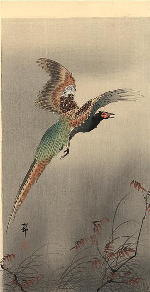 Pheasant in Flight, c.1910 - 小原古邨