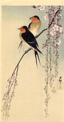 Swallows with cherry blossom - Ohara Koson