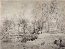 Landscape with a trees - Пітер Пауль Рубенс