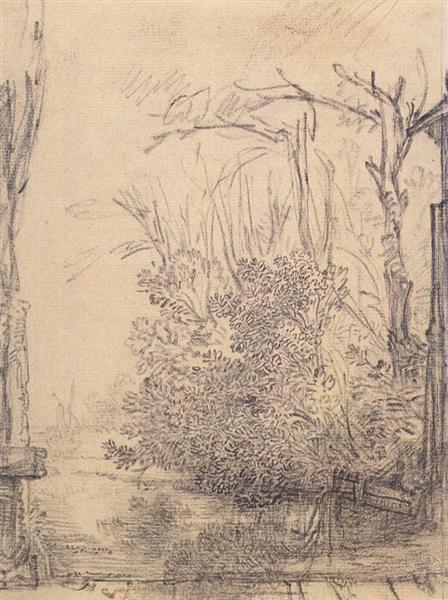 Overhanging bushes in a ditch, c.1640 - Рембрандт