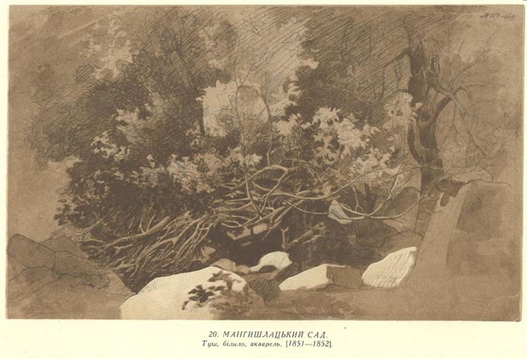 Mangyshlak garden, 1852 - 塔拉斯·赫里霍罗维奇·谢甫琴科