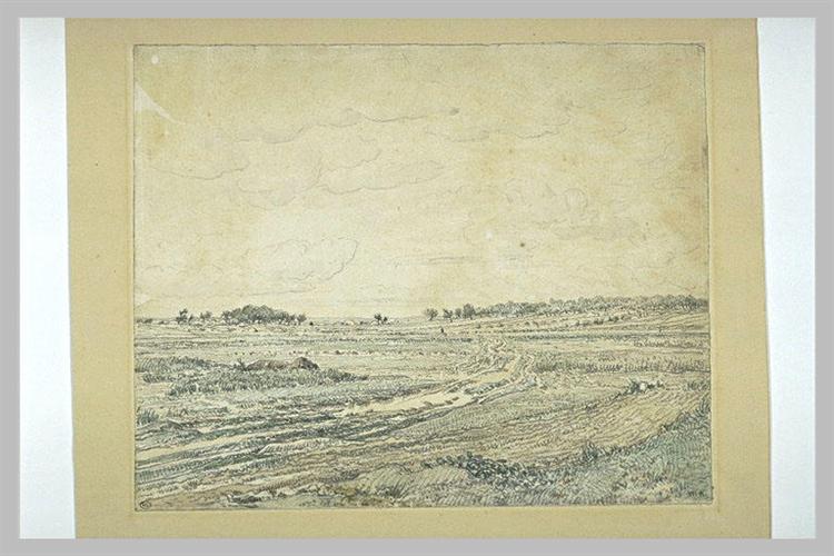 The plain of Barbizon - Théodore Rousseau