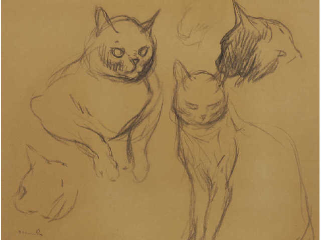 Cat Sketches - Theophile Steinlen