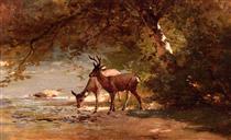 Deer in a Landscape - Томас Хилл