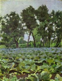 Cabbage Field with Willows - Victor Borissov-Moussatov
