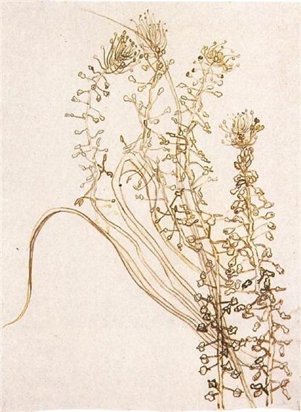 Blossoming Branches, 1890 - Винсент Ван Гог