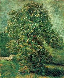 Chestnut Tree in Blossom - Vincent van Gogh